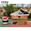 Dunk Low SB 'AM90 Infrared' Size 36-46