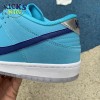 Dunk Low SB 'Blue Fury' Size 36-45