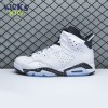 Air Jordan 6 