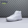 Jordan 11 Retro Silver Anniversary (2010) 408201-101