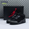 Jordan 3 Retro Black Cat (2025) CT8532-001 Unisex Size