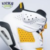 Jordan 6 Retro Yellow Ochre CT8529-170 Size 40-47.5